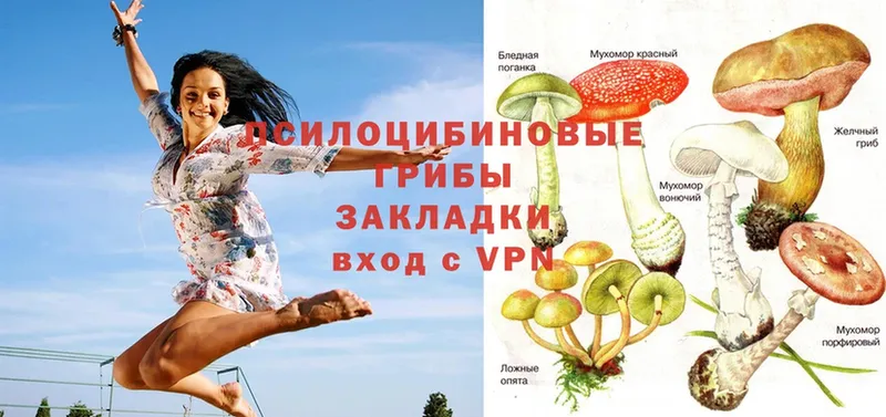 Псилоцибиновые грибы MAGIC MUSHROOMS  даркнет сайт  Дрезна 